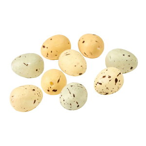 i`GbO~j 24 BEIGE MIX x[W~bNX/ZE003206y01z ԎށEt[Xg fR[Vp[cEf Ebhp[cA^{[