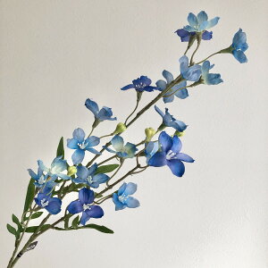 yԁzAXJ/NXp[×20 ڂ×5 009H u[wI/A-33554-009Hy01z ԁiA[eBtBVt[j  ԍށusv NXp[