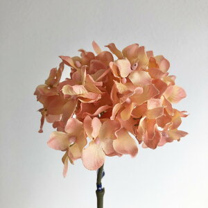 yԁzAXJ/nChWA 014A Vv/A-33728-014Ay01z ԁiA[eBtBVt[j  ԍށusv izԁj