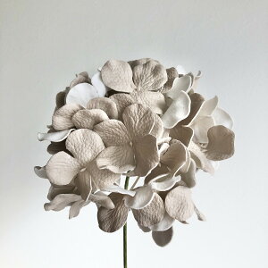 yԁzAXJ/nChWAsbN 008S Th/A-39665-008Sy01z ԁiA[eBtBVt[j  ԍށusv izԁj