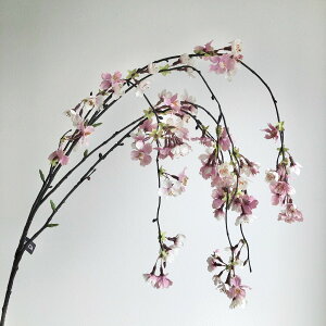 yԁzAXJ/×85 ڂ×6 001P zCgsN/A-33543-001Py01z ԁiA[eBtBVt[j  ԍށusv ij