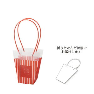 �y�Ζ����ӃZ�[���zGREENHOUSE/PP�M�t�g�o�b�O M ���b�h�X�g���C�v/5421-B-RD�y01�z[5��] ���b�s���O�p�i �A����� ���b�s���O�܁E�v���[���g�� ��񂰑�