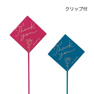 GREENHOUSE/ؐv[gsbN _C[Y 2×e6{/5455Sy01z[12{] ԎށEt[Xg t[sbN ̓sbN