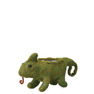 Aؔ  GREENHOUSE/Ђ܂Aj}|bg JI/5391y01z K[fjOE|pi t[|bg `[t