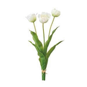 yԁzMAGIQ/`[bvoh #1 CR/GR N[O[/FM008710-001y01z ԁiA[eBtBVt[j  ԍށusv `[bv