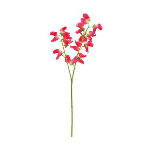 �y���ԁzMAGIQ������/�X�C�[�g�X�C�g�s�[ #52 RASPBERRY ���Y�x���[/FM001163-052�y01�z ���� �A�[�e�B�t�B�V�����t�����[ �X�C�g�s�[�t�F�C�N�t�����[ �t�����[�A�����W�ԍ� ������� �n���h���C�h