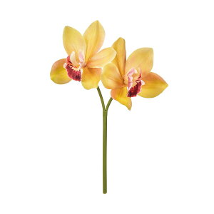 yԁzMAGIQ/~fBVrWE #4 YE/RD CG[bh/FM001037-004y01z ԁiA[eBtBVt[j  ԍށusv VrW[