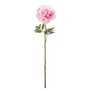 yԁzMAGIQ/tu[sIj[ #2 PINK sN/FM001929-002y01z ԁiA[eBtBVt[j  ԍށusv VNNi䉖jE{^iOjEsIj[