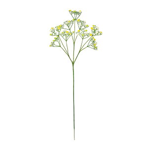 yԁzMAGIQ/LfBWv\ #104 YL/GR CG[O[~bNX/FM002076-104y01z ԁiA[eBtBVt[j  ԍށusv ݑ