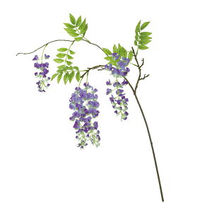 yԁzMAGIQ/ReCO ܂蓡} #17 LV/PP x_[p[v/FM302529-017y01z ԁiA[eBtBVt[j  ԍށu͍sv tWij