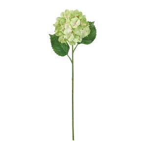 yԁzMAGIQ/ReCO K[fnChWA #23 MV/GR [uO[/FM302507-023y01z ԁiA[eBtBVt[j  ԍށusv izԁj