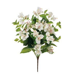 yԁzMAGIQ/tB[u[QrAubV #1 CREAM N[/FM001837-001y01z ԁiA[eBtBVt[j  ԍށu͍sv u[QrA