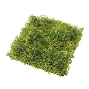 yԁzMAGIQ/ReCO CfBAX}bg #24 GREEN O[/FG302507-024y01z ԁiA[eBtBVt[j ԗtAtFCNO[ ہAX