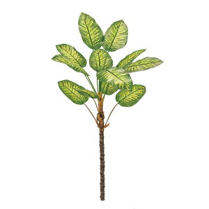 yԁzMAGIQ/fBtFoLA} GREEN O[/FG005701y01z ԁiA[eBtBVt[j ԗt fBtFoLA