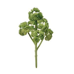 yԁzMAGIQ/Z_ubV #24 GREEN O[/FG001975-024y01z ԁiA[eBtBVt[j ԗtAtFCNO[ A