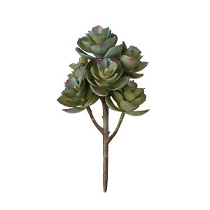 yԁzMAGIQ/~jGPxAubV #15 BLGR u[O[/FG001976-015y01z ԁiA[eBtBVt[j ԗtAtFCNO[ A