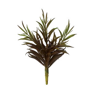 yԁzMAGIQ/o[KfBGPxA BRGR uEO[/FG001984y01z ԁiA[eBtBVt[j ԗtAtFCNO[ A