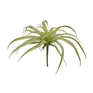 yԁzMAGIQ/ReCO \jAeBWAL #24 GREEN O[/FG302510-024y01z ԁiA[eBtBVt[j ԗtAtFCNO[ A