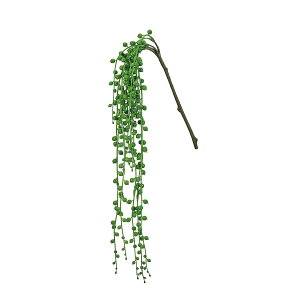 yԁzMAGIQ/ReCO O[lbNX GREEN O[/FG302508y01z ԁiA[eBtBVt[j ԗtAtFCNO[ A