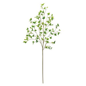 yԁzMAGIQ/ReCO hbOEbh} GREEN O[/FG302515y01z ԁiA[eBtBVt[j  ԍށu͍sv Ԃ݂