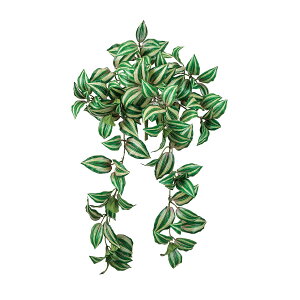 �y���ԁzMAGIQ������/��R�[�u���i�o�C�� GR/PU �O���[���p�[�v��/FG612510�y01�z ���ԁi�A�[�e�B�t�B�V�����t�����[�j ���ԗt���A�t�F�C�N�O���[�� ���̑��̑��ԗt���E�t�F�C�N�O���[��