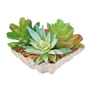 yԁzMAGIQ/VFvc GREEN O[/FZ001099y01z ԁiA[eBtBVt[j ԗt ԁElHϗtA |bg