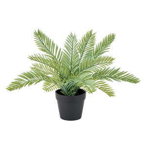 ylHϗtAzMAGIQ/TCJX~j|bg(G})/ZV000183 ԕiLZsy12z ԁiA[eBtBVt[j ԗt ԁElHϗtA |bg