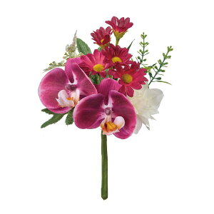   yԁz/r[eB[t@moh/ZA005482y01z dp p  tďH~