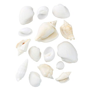 VF~bNXzCg 7A\[g 120g/FD005934y01z ԎށEt[Xg fR[Vp[cEf Ă̏Ef