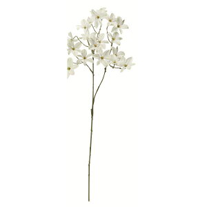 yԁzAXJ/~jt[Xv[×18 zCgO[/A-35039-52y01z ԁiA[eBtBVt[j  ԍށu܍sv ̑u܍svԉԍ