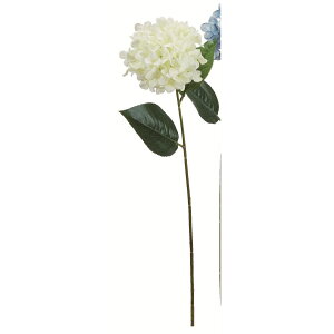 yԁzAXJ/nChWA zCg/A-35120-1y01z ԁiA[eBtBVt[j  ԍށusv izԁj