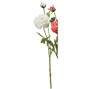 yԁzAXJ/iLX×2 zCg/A-35166-1y01z ԁiA[eBtBVt[j  ԍށusv iLX