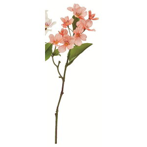 yԁzAXJ/ubT×9 R[/A-35137-13Ay01z ԁiA[eBtBVt[j  ԍށu͍sv ̑u͍svԉԍ