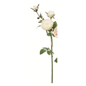 yԁzAXJ/[Y×3 ڂ×1 zCg/A-35086-1y01z ԁiA[eBtBVt[j  ԍށu͍sv o