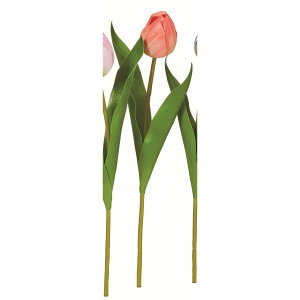 yԁzAXJ/`[bv T[sN/A-35083-14Py01z ԁiA[eBtBVt[j  ԍށusv `[bv