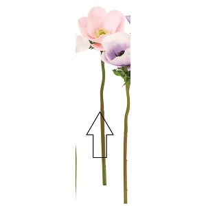 yԁzAXJ/All sN/A-35084-3y01z ԁiA[eBtBVt[j  ԍށusv All