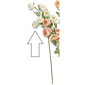 yԁzAXJ/sIj[×6 ڂ×1 zCg/A-35190-1y01z ԁiA[eBtBVt[j  ԍށusv VNNi䉖jE{^iOjEsIj[