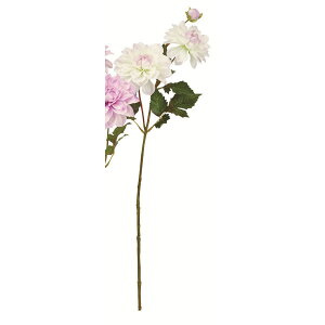 yԁzAXJ/_A×2 ڂ×1 zCgCbN/A-35057-17Wy01z ԁiA[eBtBVt[j  ԍށusv _A