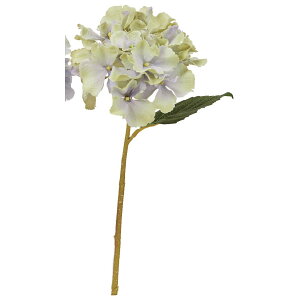 yԁzAXJ/nChWA Cgu[O[/A-35161-19Gy01z ԁiA[eBtBVt[j  ԍށusv izԁj