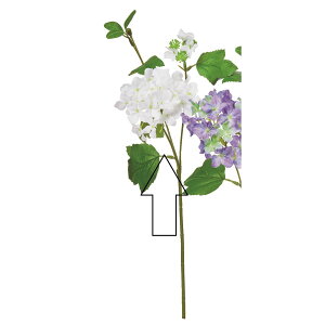 yԁzAXJ/nChWA×2 ڂ×1 zCg/A-35181-1y01z ԁiA[eBtBVt[j  ԍށusv izԁj