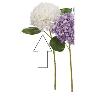 yԁzAXJ/nChWA zCg/A-35182-1y01z ԁiA[eBtBVt[j  ԍށusv izԁj