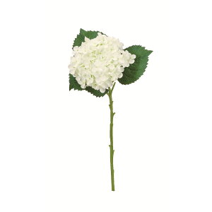 yԁzAXJ/nChWA zCg/A-35204-1y01z ԁiA[eBtBVt[j  ԍށusv izԁj