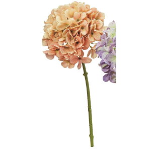 yԁzAXJ/nChWA s[`O[/A-35189-4Gy01z ԁiA[eBtBVt[j  ԍށusv izԁj