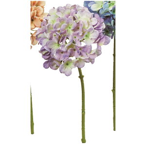 yԁzAXJ/nChWA x_[O[/A-35189-6Gy01z ԁiA[eBtBVt[j  ԍށusv izԁj