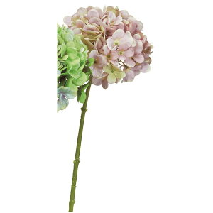 yԁzAXJ/nChWA [uO[/A-35189-55Gy01z ԁiA[eBtBVt[j  ԍށusv izԁj