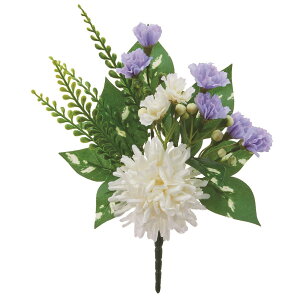   yԁzAXJ/ ~bNX/A-35213-46y01z dp p  tďH~