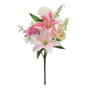   yԁzAXJ/ ~bNX/A-35216-46y01z dp p  tďH~