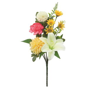   yԁzAXJ/ ~bNX/A-35217-46y01z dp p  tďH~