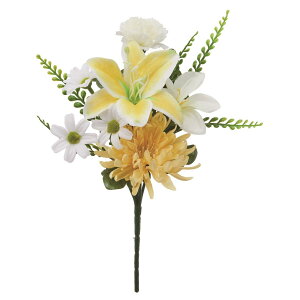   yԁzAXJ/ ~bNX/A-35218-46y01z dp p  tďH~