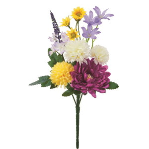   yԁzAXJ/ ~bNX/A-35220-46y01z dp p  tďH~